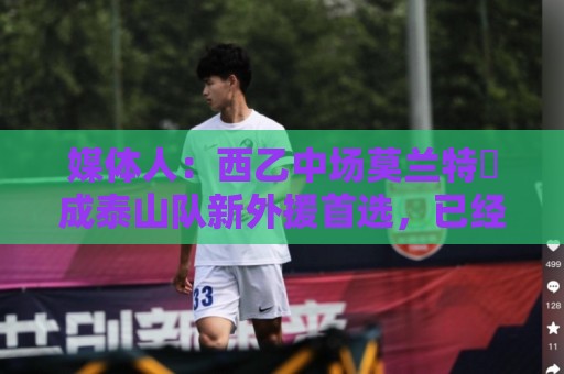 媒体人:西乙中场莫兰特成泰山队新外援首选,已经在走手续 媒体人:西乙中场莫兰特成泰山队新外援首选,已经在走手续