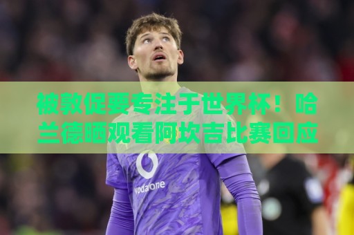 被敦促要专注于世界杯！哈兰德晒观看阿坎吉比赛回应：OK，没问题