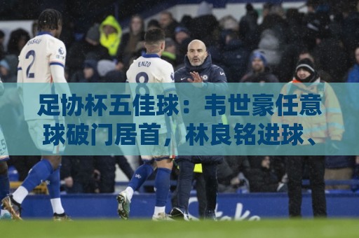 足协杯五佳球：韦世豪任意球破门居首，林良铭进球、泽卡奔袭在列