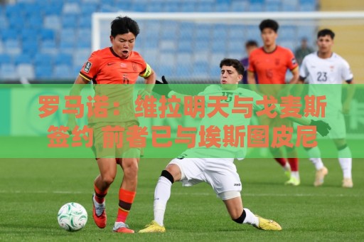 罗马诺：维拉明天与戈麦斯签约 前者已与埃斯图皮尼安达个人协议