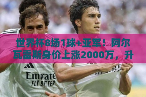 世界杯8场1球+亚军！阿尔瓦雷斯身价上涨2000万，升至1.2亿