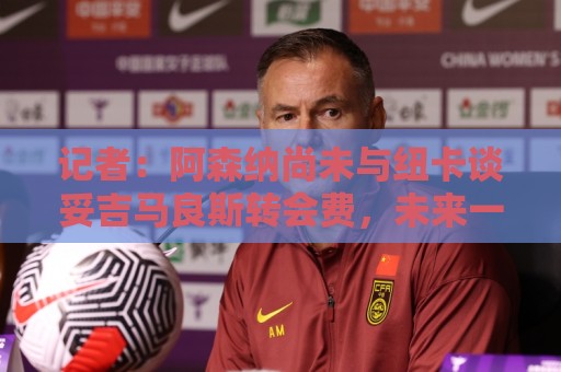 记者：阿森纳尚未与纽卡谈妥吉马良斯转会费，未来一周是关键时期