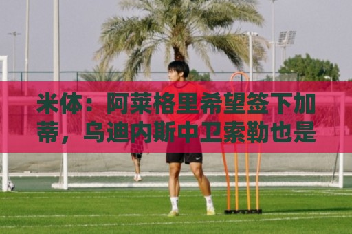 米体:阿莱格里希望签下加蒂,乌迪内斯中卫索勒也是引援候选 米体:阿莱格里希望签下加蒂,乌迪内斯中卫索勒也是引援候选