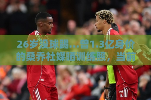 26岁没球踢…曾1.3亿身价的桑乔社媒晒训练照，当前无合同+无下家
