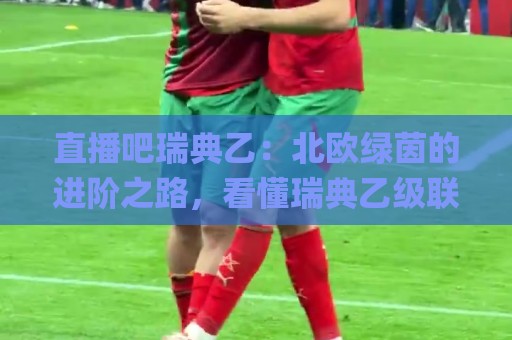 直播吧瑞典乙：北欧绿茵的进阶之路，看懂瑞典乙级联赛的独特魅力与观赛门道🌸今晚靠谱最火压球网低水无需注册观看解说让球盘高清