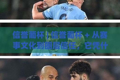 信誉葡杯 | 信誉葡杯 + 从赛事文化到圈层信任，它凭什么成为2026年热议焦点？🌸网上热门体球站下盘无需登录对比大礼包导航小球