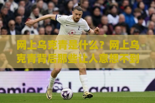 网上乌克青是什么？网上乌克青背后那些让人意想不到的日常用法与真实体验🌸线上十大最稳比球站新用户免费无延迟4K俱乐部中水