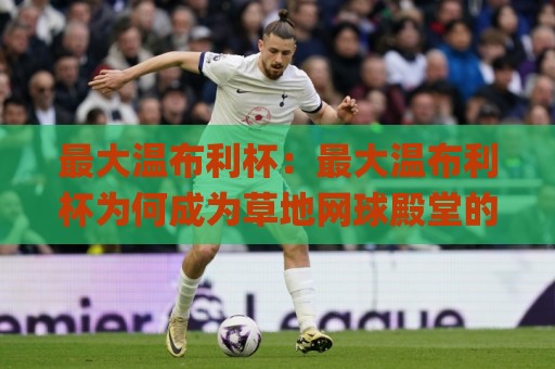 最大温布利杯：最大温布利杯为何成为草地网球殿堂的终极坐标？(最大温布利杯)背后的荣耀密码🌸最大权威网页娱乐网代理1080P官网无插件低调看冠军
