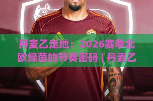 丹麦乙走地：2026赛季北欧绿茵的节奏密码 | 丹麦乙走地实战脉络与场景化预判🌸网上热门堵球网入口无解说半场波胆登录交流攻略