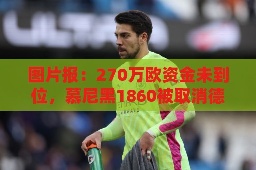 图片报：270万欧资金未到位，慕尼黑1860被取消德丙参赛资格