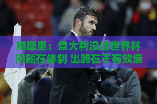 维耶里：意大利没进世界杯问题在体制 出路在于有效培养年轻球员
