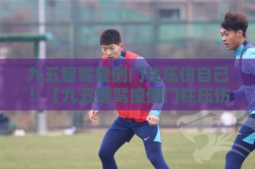 九五智驾撞倒门柱压伤自己!【九五智驾撞倒门柱压伤自己】门柱:我还没发力你就倒下了? 九五智驾撞倒门柱压伤自己!【九五智驾撞倒门柱压伤自己】门柱:我还没发力你就倒下了?