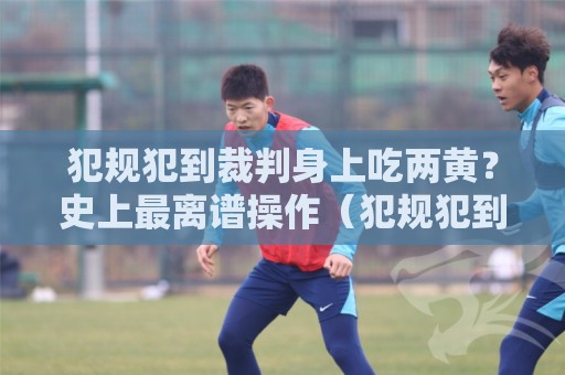 犯规犯到裁判身上吃两黄？史上最离谱操作（犯规犯到裁判身上吃两黄）笑到肚子疼
