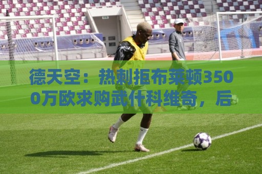 德天空：热刺拒布莱顿3500万欧求购武什科维奇，后者将发起新报价