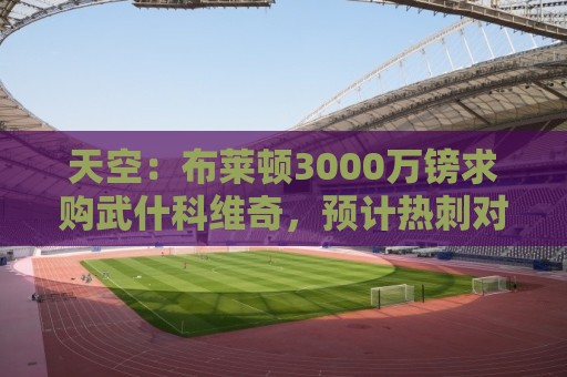 天空：布莱顿3000万镑求购武什科维奇，预计热刺对其估值超6000万